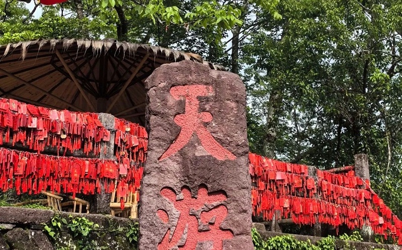 天游