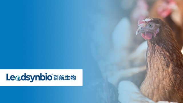 產(chǎn)品科普|關(guān)于25-羥基維生素D?，你不得不知道的9個(gè)問答