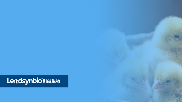 為什么說水溶性25-羥基維生素D? 是一個偽命題 ？｜產(chǎn)品科普