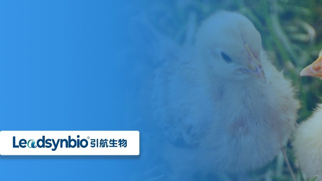 關(guān)于25-羥基維生素D?，你不得不知道的七個問答（二）｜產(chǎn)品科普